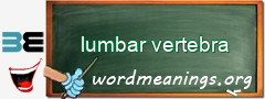 WordMeaning blackboard for lumbar vertebra